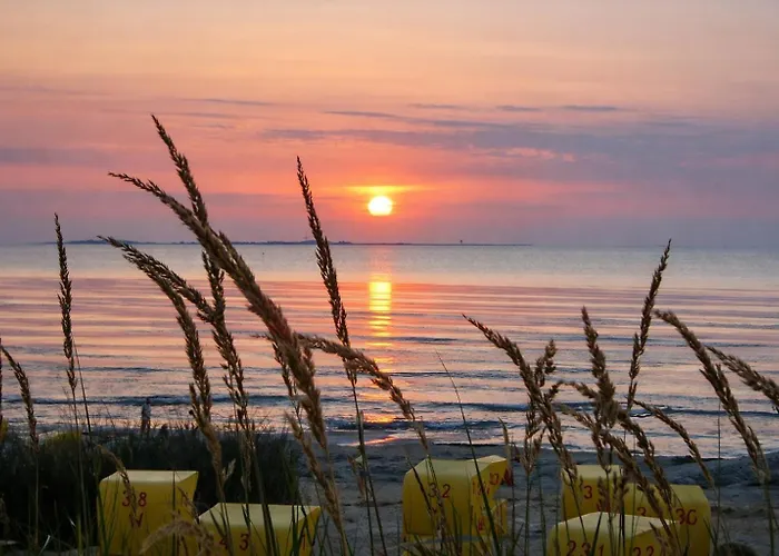 Kuestenhaus Silbermoewe Feriehus *